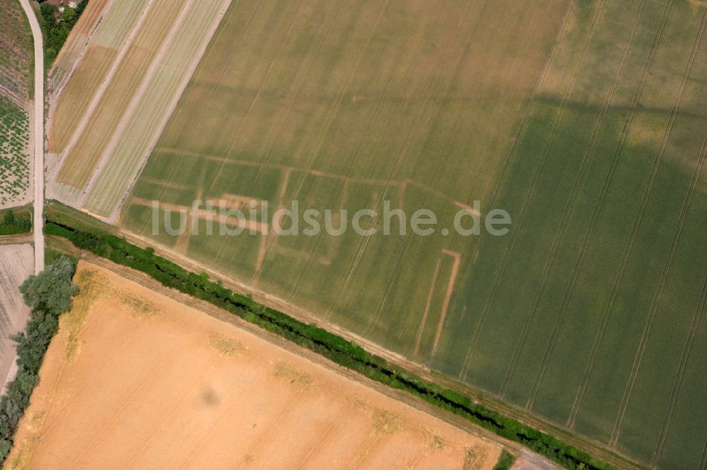 Luftaufnahme Eich Ibersheim - Kleines Wohngebiet in Eich im Bundesland Rheinland-Pfalz