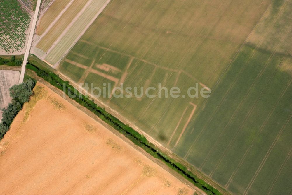 Eich Ibersheim von oben - Kleines Wohngebiet in Eich im Bundesland Rheinland-Pfalz