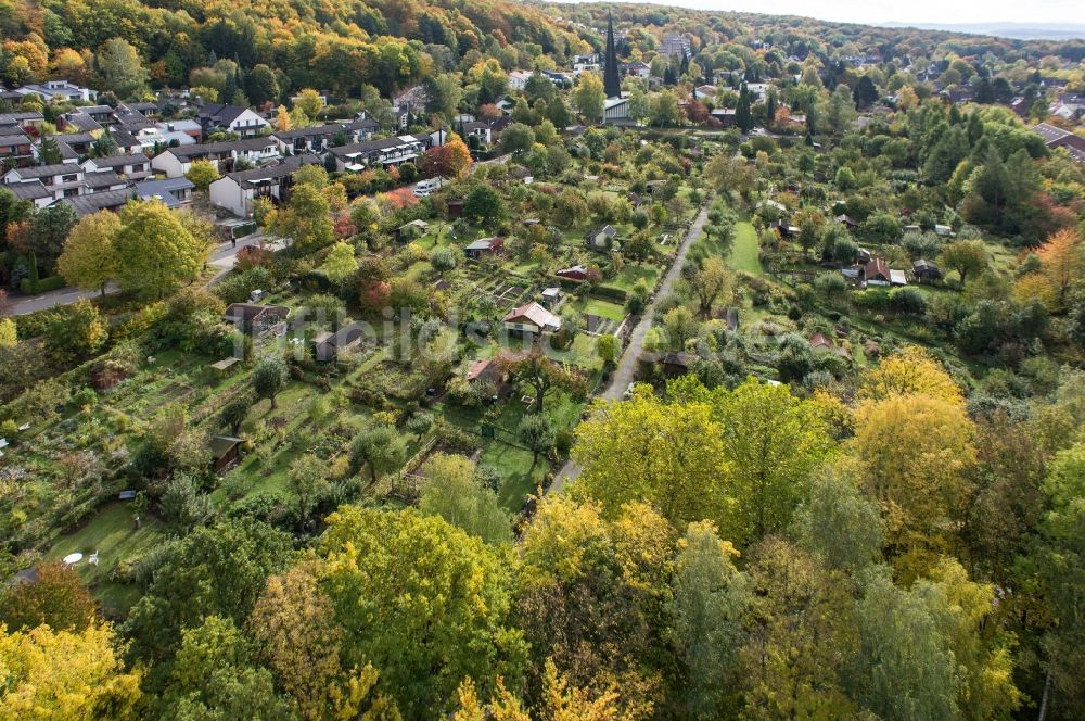 Göttingen aus der Vogelperspektive: Kleingartenanlage mit angrenzendem Wohngebiet in Göttingen im Bundesland Niedersachsen