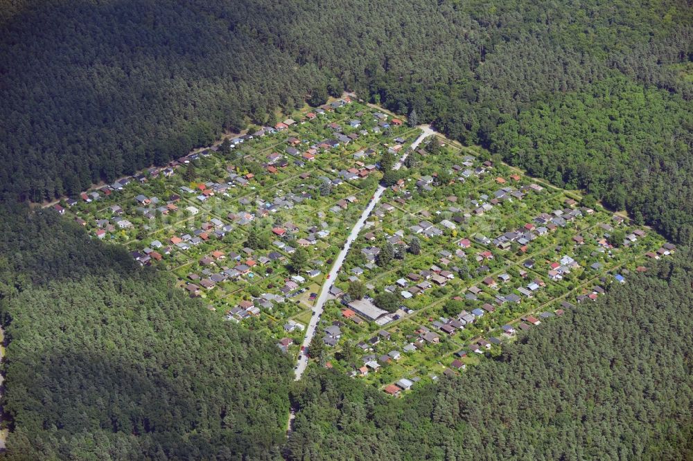 Berlin aus der Vogelperspektive: Kleingartenanlage bei dem Naturschutzgebiet Teufelsfenn am Drachenberg im Ortsteil Grunewald in Berlin im Bundesland Brandenburg