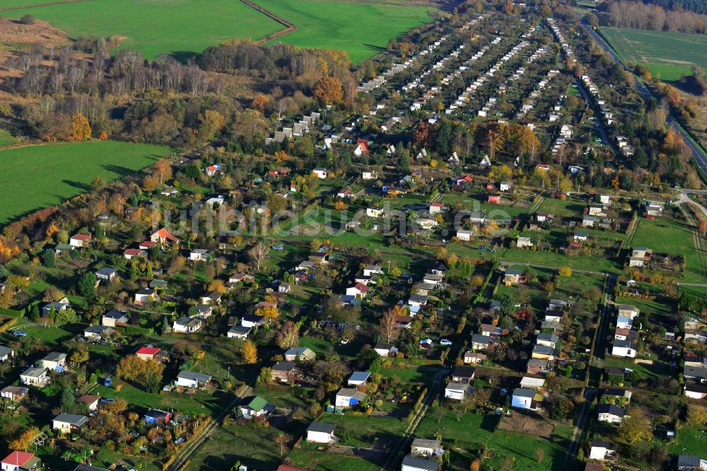 Küssow Neubrandenburg von oben - Kleingartenanlage Küssow in Neubrandenburg im Bundesland Mecklenburg-Vorpommern