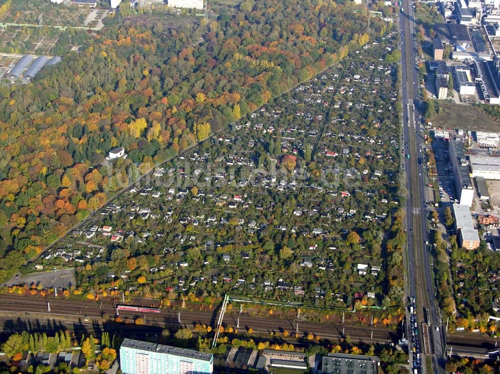 Berlin- Lichtenberg von oben - Kleingartenanlage Lichtenberg