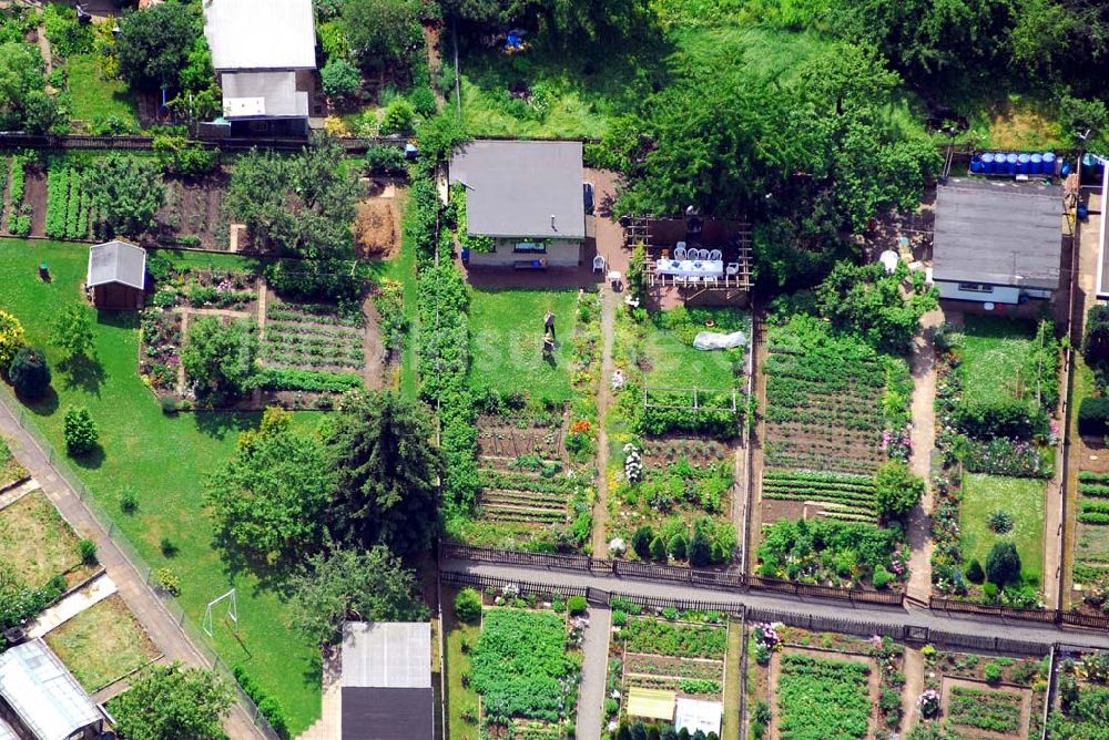 Gera von oben - Kleingartenanlage an der Zötzener Straße nahe des Stadions der Freundschaft in Gera