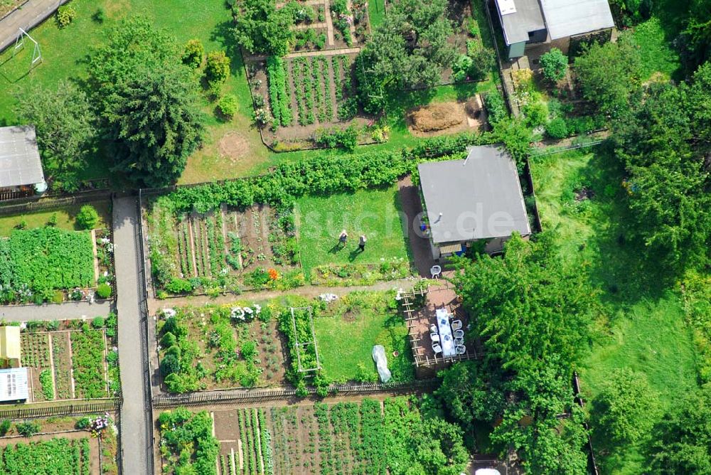 Gera von oben - Kleingartenanlage an der Zötzener Straße nahe des Stadions der Freundschaft in Gera