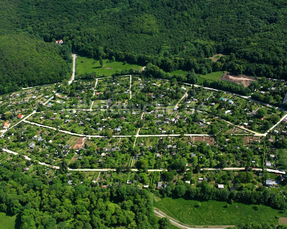 Luftaufnahme Wernigerode - Kleingartenanlagen und Bungalowsiedelung in Wernigerode im Bundesland Sachsen-Anhalt, Deutschland