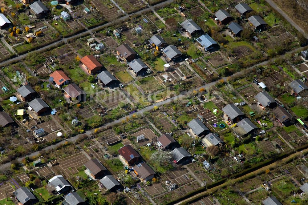 Luftbild München - Kleingartenanlagen einer Laubenkolonie zwischen Winzererstraße und Ackermannstraße im Ortsteil Neuhausen-Nymphenburg in München im Bundesland Bayern, Deutschland