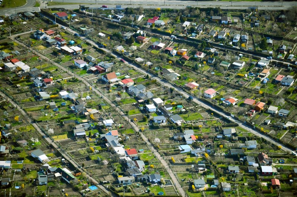 Luftbild Erfurt - Kleingartenanlagen an der Roßlauer Straße in Erfurt im Bundesland Thüringen, Deutschland