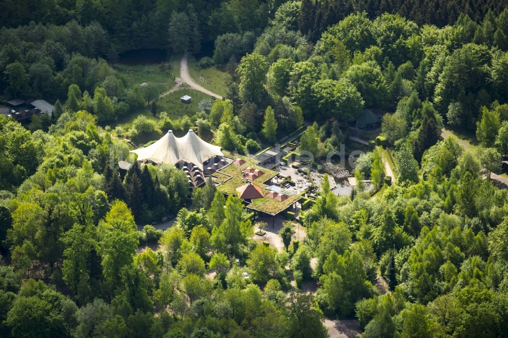 Arnsberg aus der Vogelperspektive: Klettergarten Wildwald in Arnsberg im Bundesland Nordrhein-Westfalen