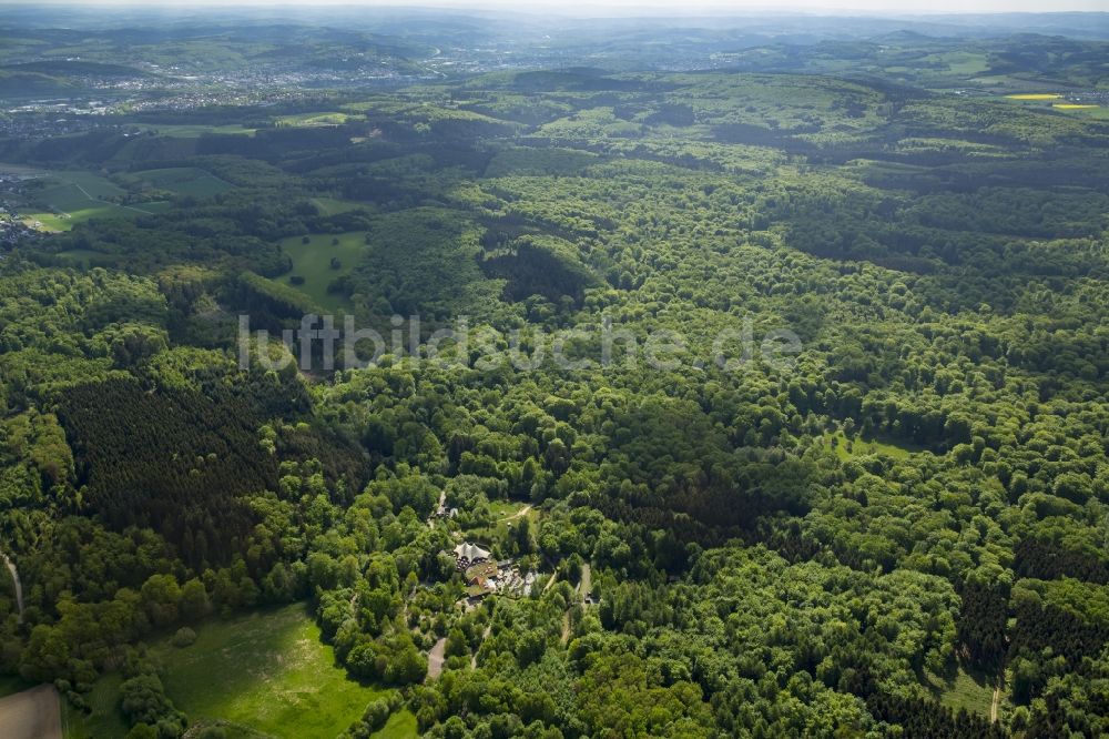 Luftbild Arnsberg - Klettergarten Wildwald in Arnsberg im Bundesland Nordrhein-Westfalen