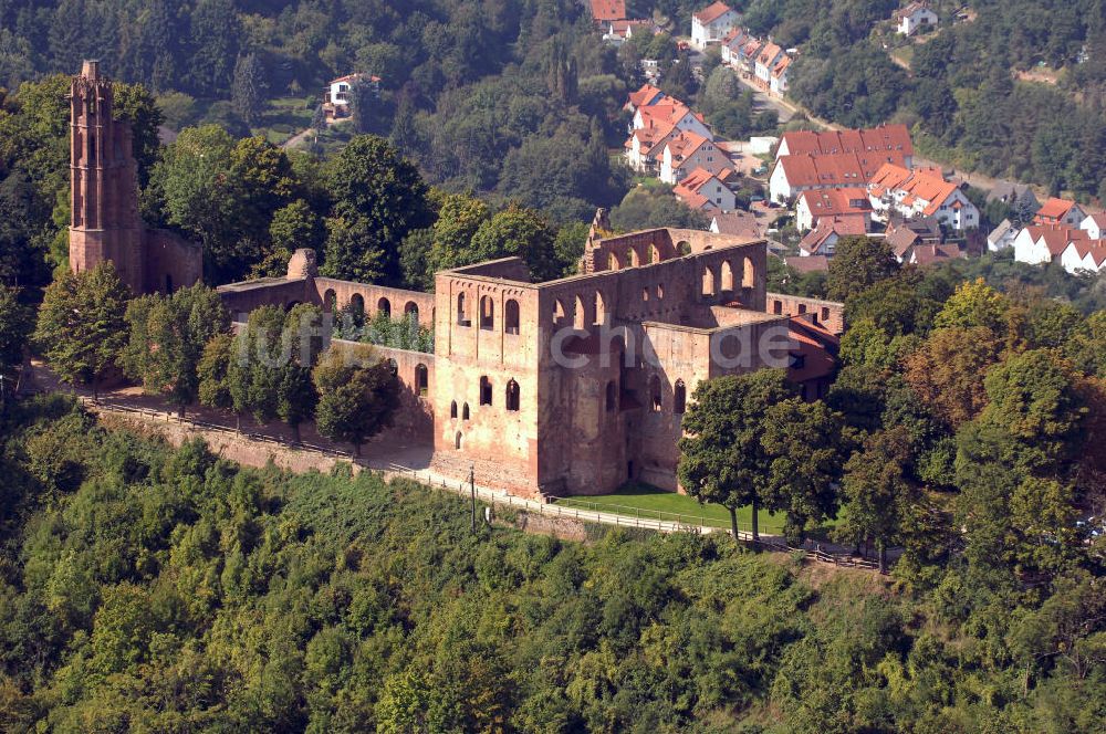 Bad Sürkheim von oben - Klosterruine Limburg in Bad Dürkheim