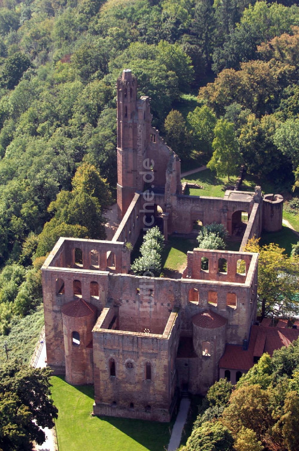 Luftaufnahme Bad Sürkheim - Klosterruine Limburg in Bad Dürkheim