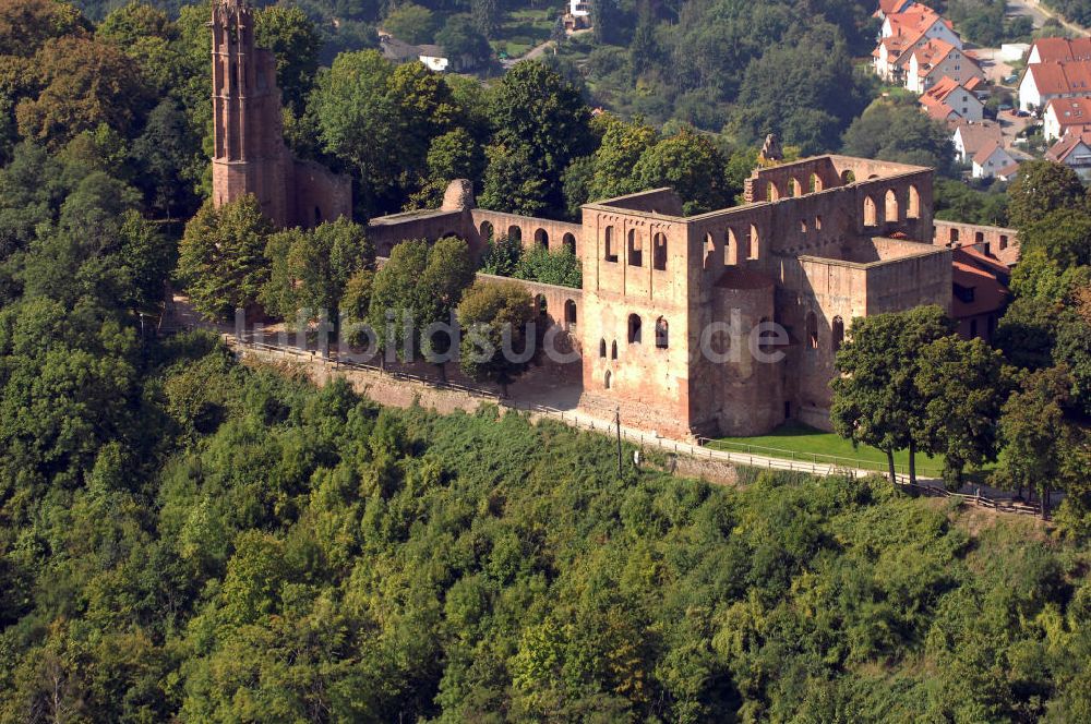 Bad Surkheim Aus Der Vogelperspektive Klosterruine Limburg In Bad Durkheim