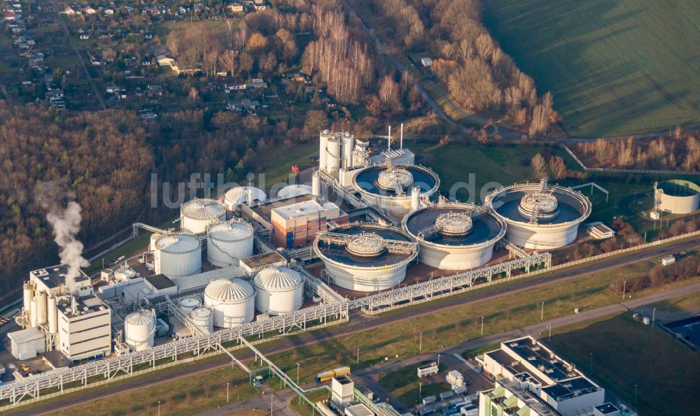 Luftaufnahme Bitterfeld-Wolfen - Klärwerks- Becken und Reinigungsstufen in Bitterfeld-Wolfen im Bundesland Sachsen-Anhalt, Deutschland