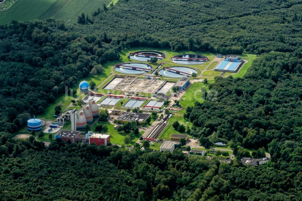 Forchheim von oben - Klärwerks- Becken und Reinigungsstufen in Forchheim im Bundesland Baden-Württemberg, Deutschland