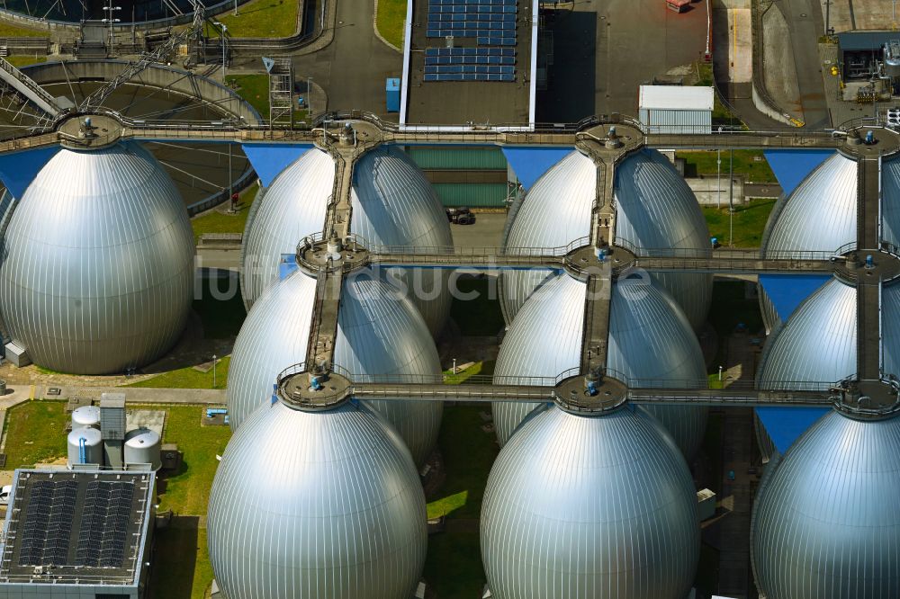 Hamburg von oben - Klärwerks- Becken und Reinigungsstufen der Hamburger Stadtentwässerung am Köhlbranddeich im Ortsteil Steinwerder in Hamburg, Deutschland