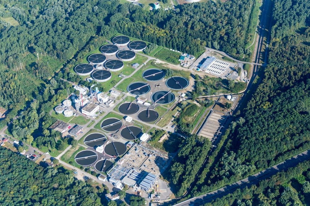 Karlsruhe aus der Vogelperspektive: Klärwerks- Becken und Reinigungsstufen des Klärwerk Karlsruhe im Ortsteil Knielingen in Karlsruhe im Bundesland Baden-Württemberg, Deutschland