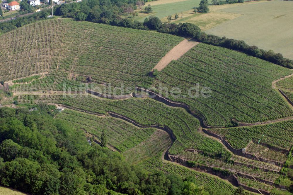 Luftaufnahme KOBLENZ - Koblenz Blick auf das Weingut Weinhaus Wagner