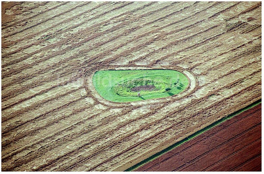 Detmold aus der Vogelperspektive: Kornfeldschäden