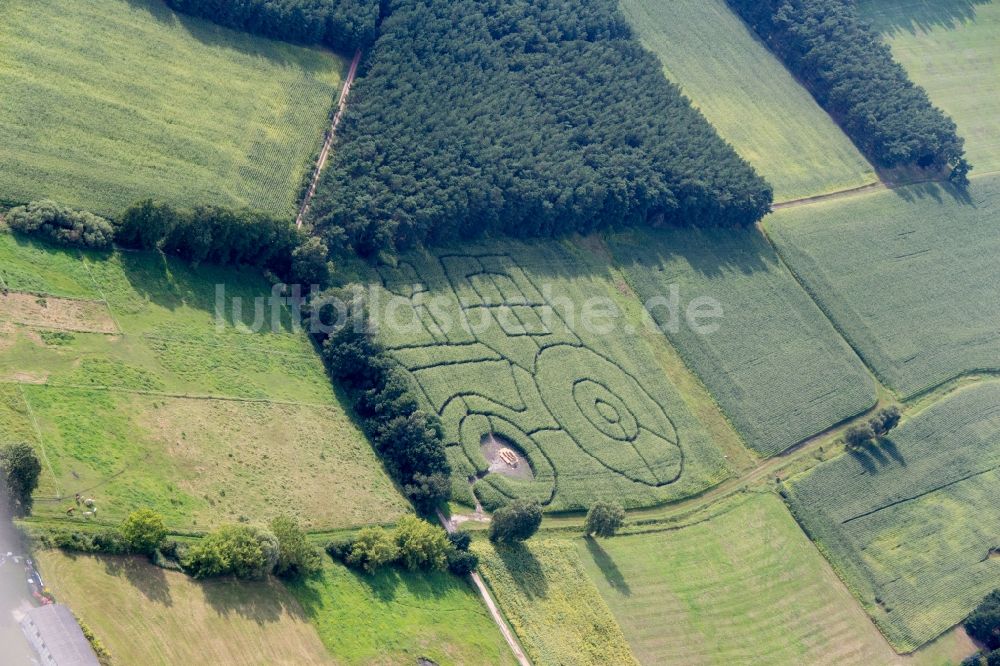 Luftbild Trebbin - Kornkreis in einem Getreide- Feld in Form eines Treckers in Trebbin im Bundesland Brandenburg, Deutschland