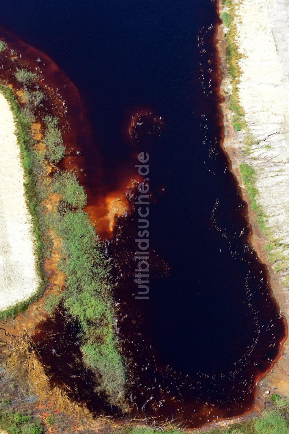 Lauchhammer von oben - Koynesee in der Bergbaufolgelandschaft Naturparadies Grünhaus bei Lauchhammer in der Niederlausitz im Bundesland Brandenburg