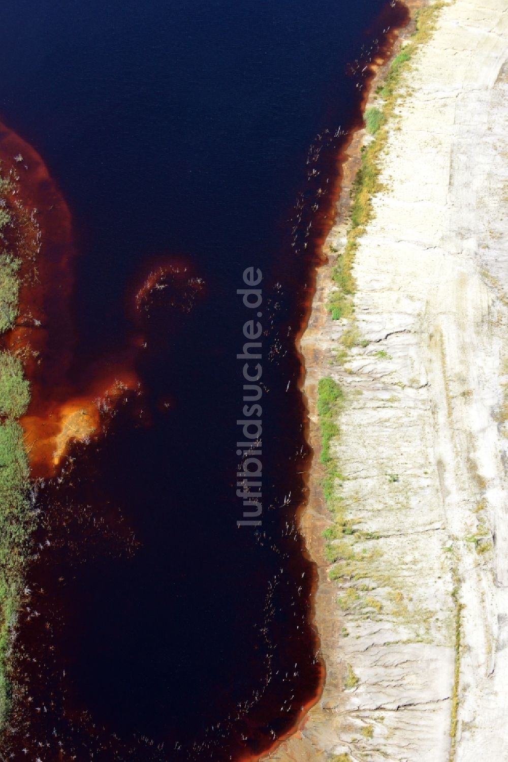 Lauchhammer aus der Vogelperspektive: Koynesee in der Bergbaufolgelandschaft Naturparadies Grünhaus bei Lauchhammer in der Niederlausitz im Bundesland Brandenburg