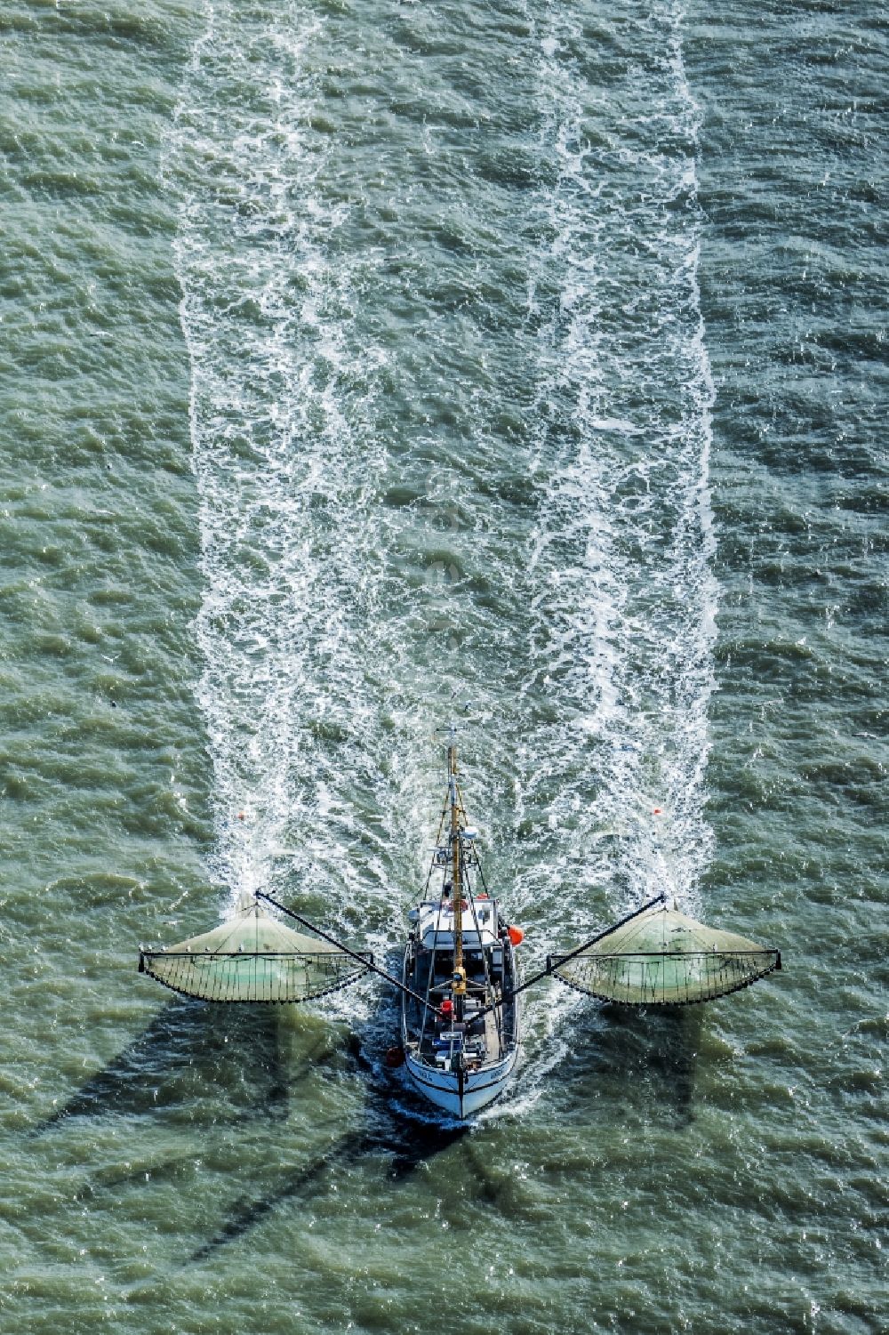 Luftaufnahme Büsum - Krabbenkutter in Fahrt auf der Nordsee in Büsum im Bundesland Schleswig-Holstein