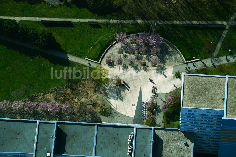 Luftbild Berlin - Kreis- runde Fläche - Platz vor dem Sozialamt Lichtenberg Berlin im Ortsteil Lichtenberg in Berlin, Deutschland