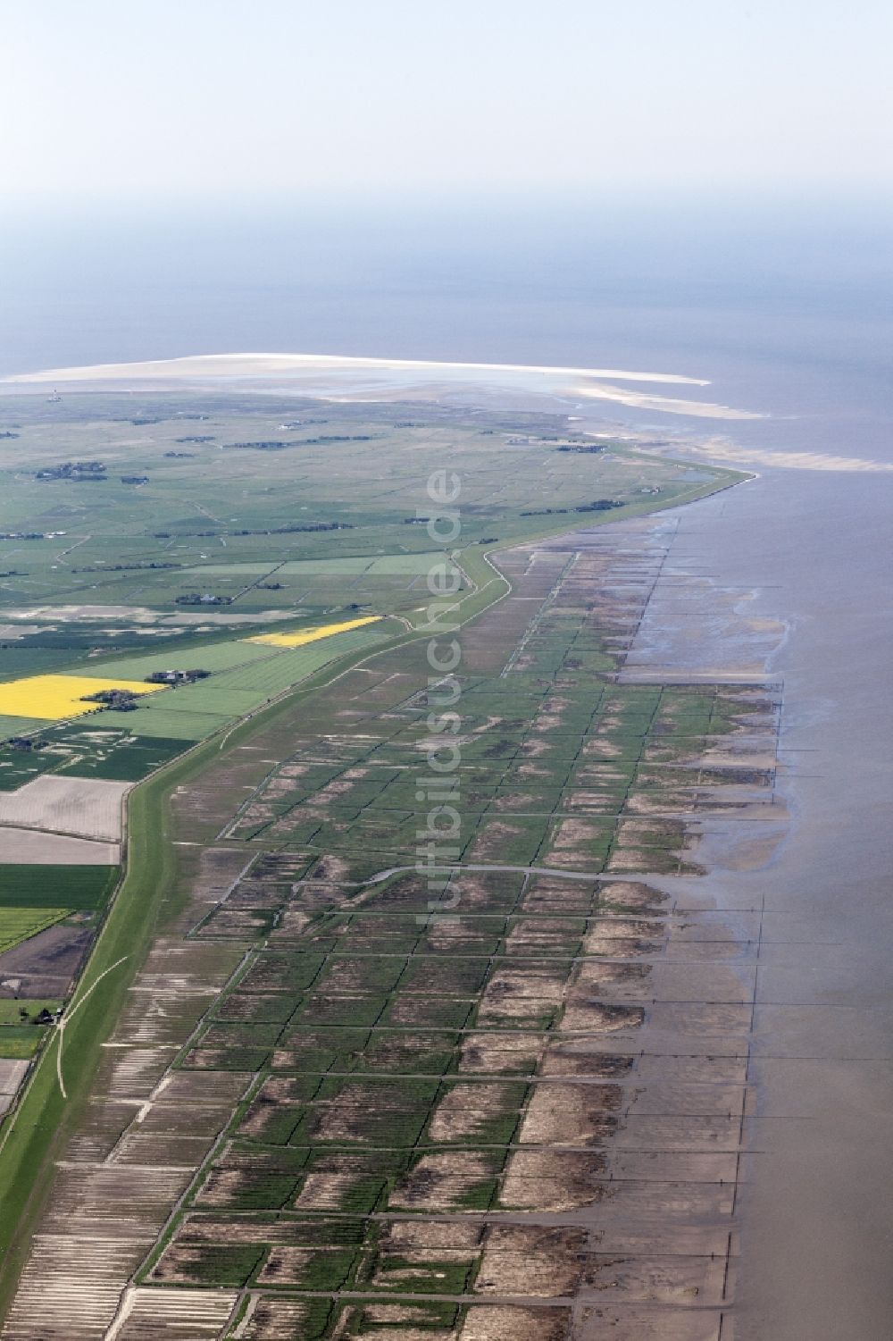 Luftaufnahme Osterhever - Küsten- Landschaft mit Deich am Lahnungswerk nördlich Norderheverkoog im Ortsteil Augustenkoog in Osterhever im Bundesland Schleswig-Holstein