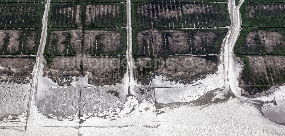 Luftbild Osterhever - Küsten- Landschaft mit Deich am Lahnungswerk nördlich Norderheverkoog im Ortsteil Augustenkoog in Osterhever im Bundesland Schleswig-Holstein