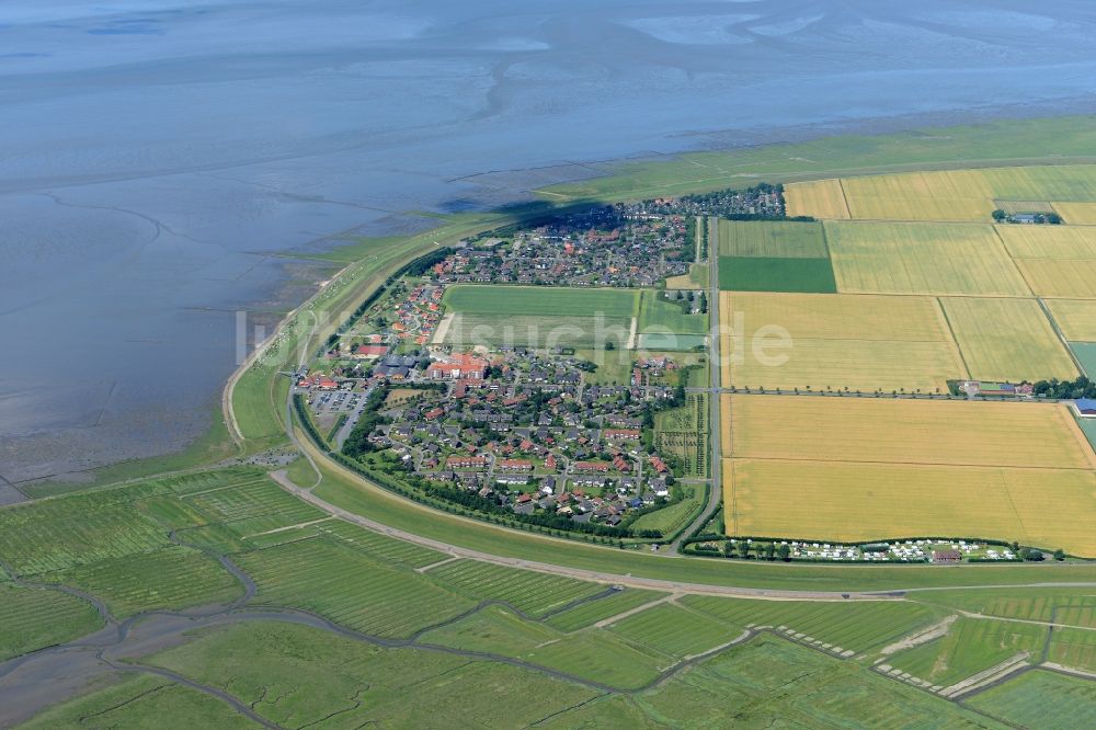 Friedrichskoog aus der Vogelperspektive: Küsten- Landschaft mit Deich- Schutzstreifen in Friedrichskoog im Bundesland Schleswig-Holstein