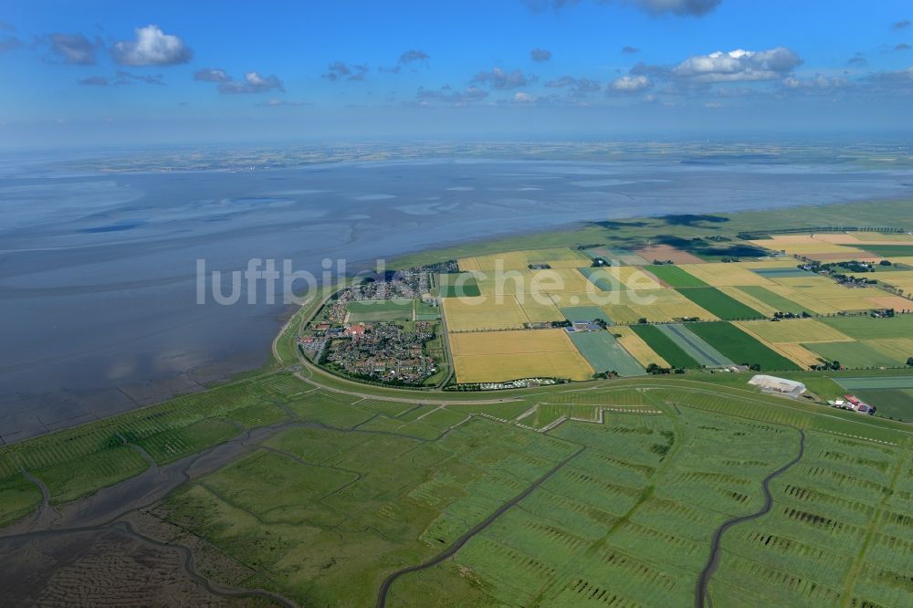 Luftbild Friedrichskoog - Küsten- Landschaft mit Deich- Schutzstreifen in Friedrichskoog im Bundesland Schleswig-Holstein