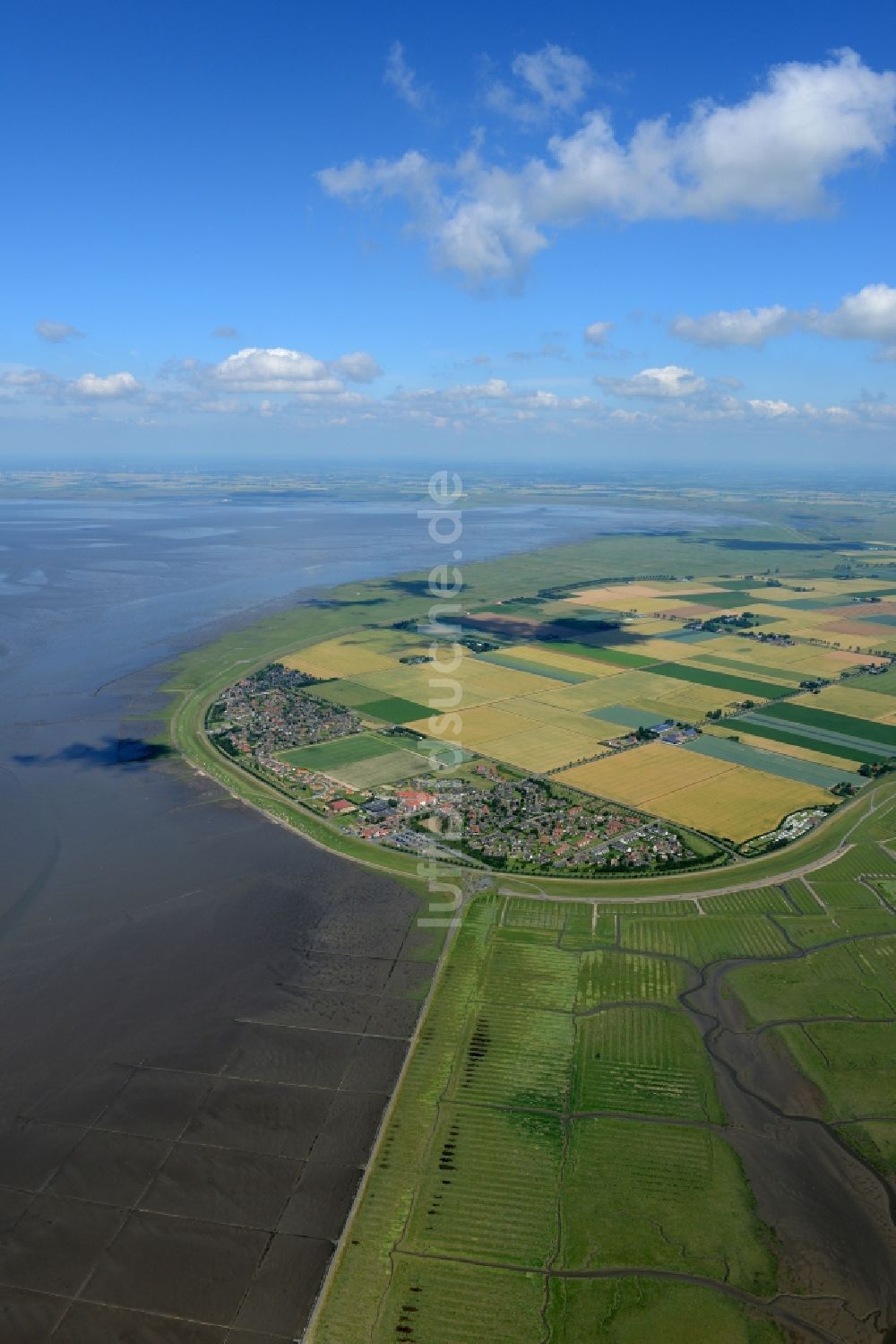 Luftaufnahme Friedrichskoog - Küsten- Landschaft mit Deich- Schutzstreifen in Friedrichskoog im Bundesland Schleswig-Holstein