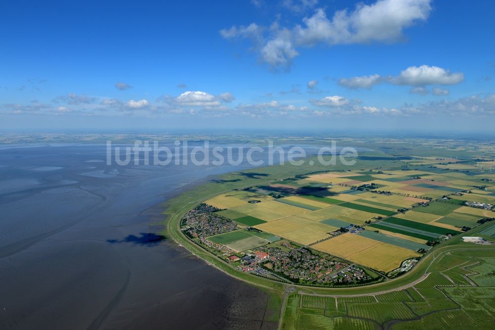 Friedrichskoog von oben - Küsten- Landschaft mit Deich- Schutzstreifen in Friedrichskoog im Bundesland Schleswig-Holstein