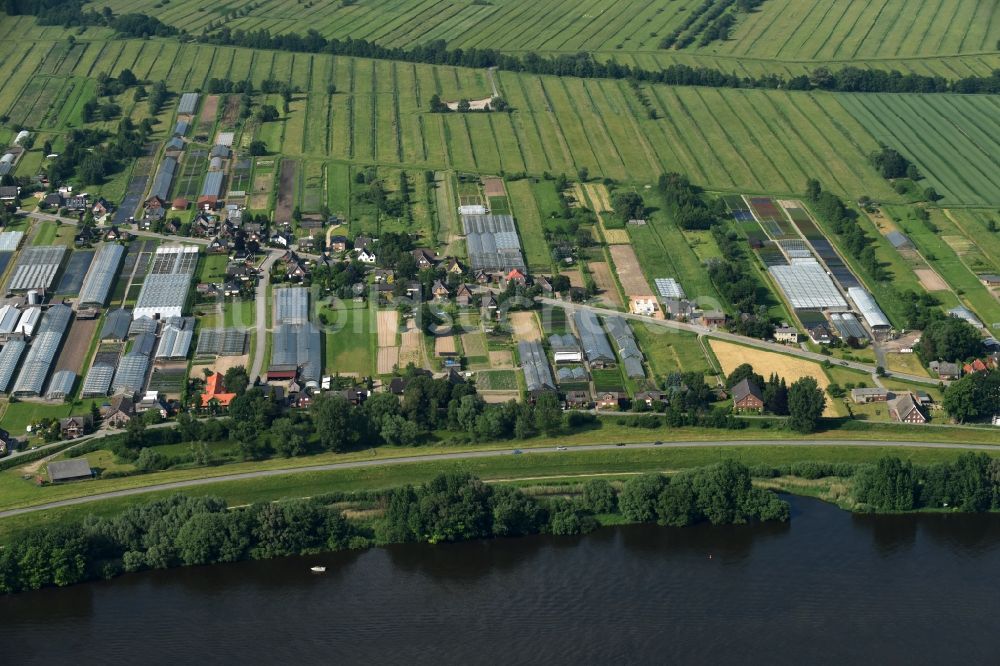 Hamburg aus der Vogelperspektive: Küsten- Landschaft mit Deich- Schutzstreifen am Ufer der Elbe in Hamburg Warwisch im Bundesland Hamburg