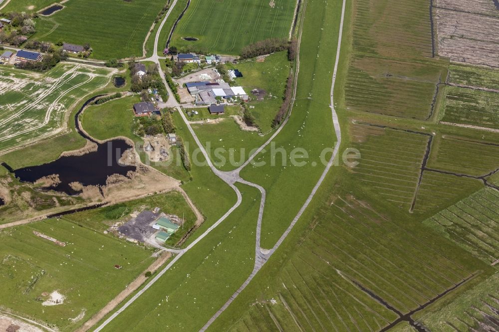 Sankt Peter-Ording aus der Vogelperspektive: Küsten- Landschaft mit Salzwiesen und Deich- Schutzstreifen im Ortsteil Sankt Peter-Ording in Sankt Peter-Ording im Bundesland Schleswig-Holstein