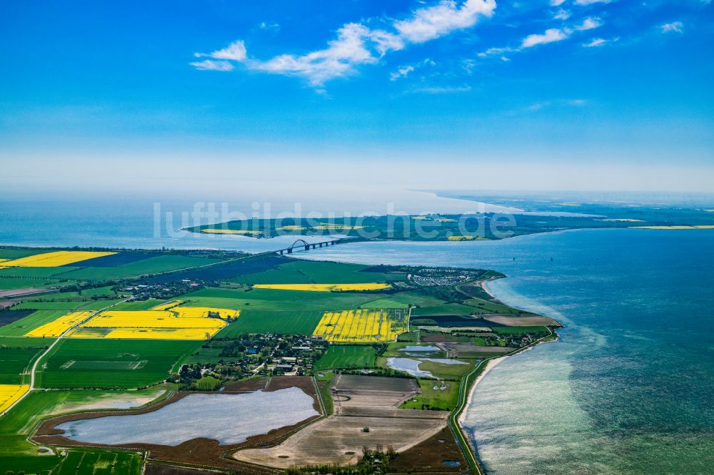 Fehmarn von oben - Küsten- Landschaft am Sandstrand Albertsdorf in Fehmarn im Bundesland Schleswig-Holstein, Deutschland