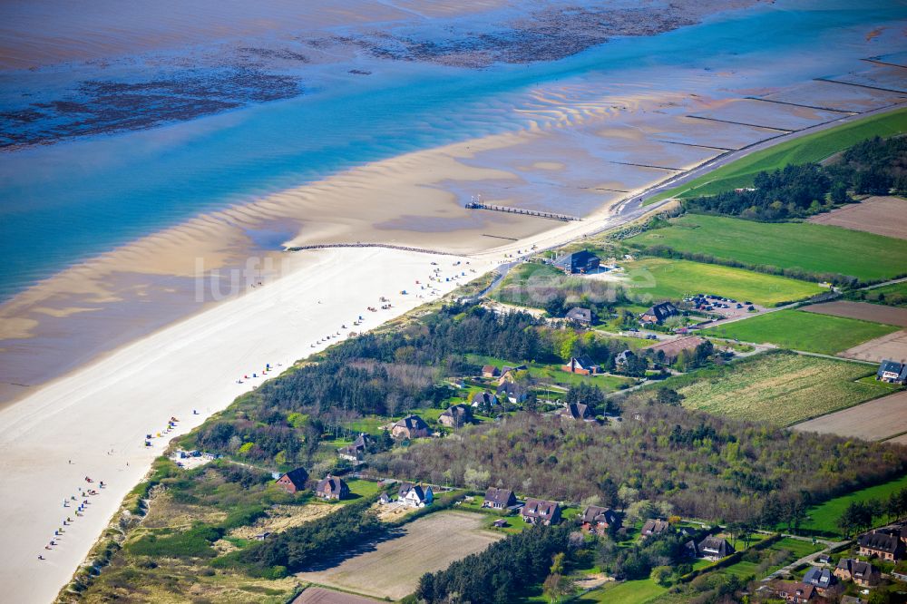 Utersum aus der Vogelperspektive: Küsten- Landschaft am Sandstrand der Nordsee in Utersum im Bundesland Schleswig-Holstein