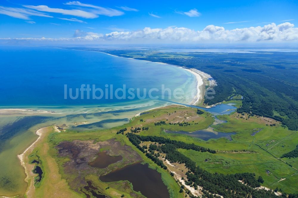 Born am Darß aus der Vogelperspektive: Küsten- Landschaft am Sandstrand der Ostsee in Born am Darß im Bundesland Mecklenburg-Vorpommern, Deutschland