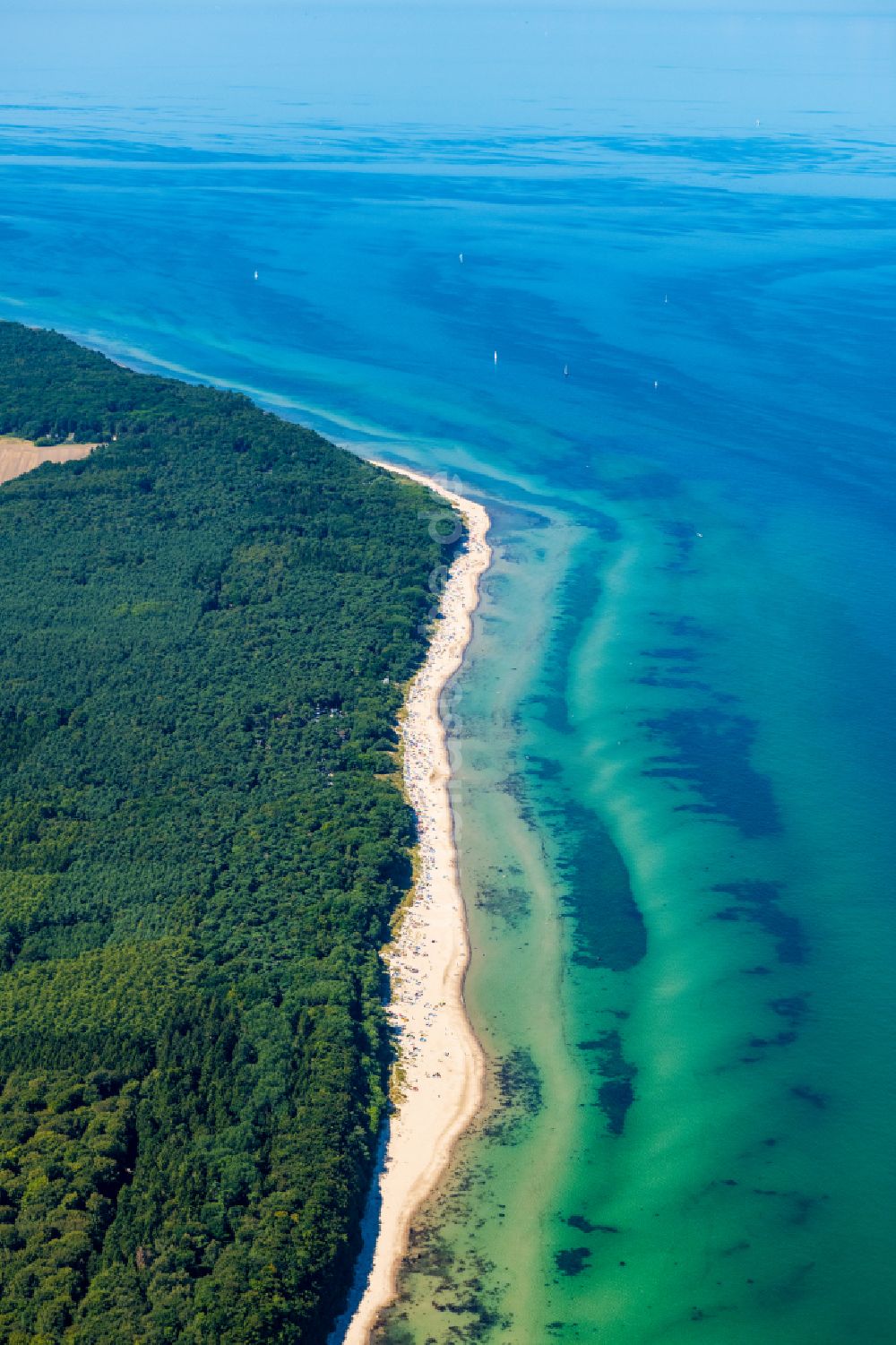 Luftbild Nonnewitz - Küsten- Landschaft am Sandstrand der Ostsee in Nonnewitz im Bundesland Mecklenburg-Vorpommern, Deutschland