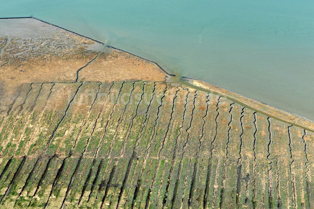 Cuxhaven aus der Vogelperspektive: Küsten- Landschaft mit Sandstrand und Salzwiesen an der Nordseeküste im Ortsteil Duhnen in Cuxhaven im Bundesland Niedersachsen