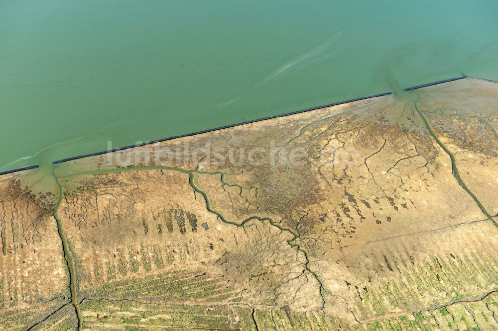 Luftaufnahme Cuxhaven - Küsten- Landschaft mit Sandstrand und Salzwiesen an der Nordseeküste im Ortsteil Duhnen in Cuxhaven im Bundesland Niedersachsen