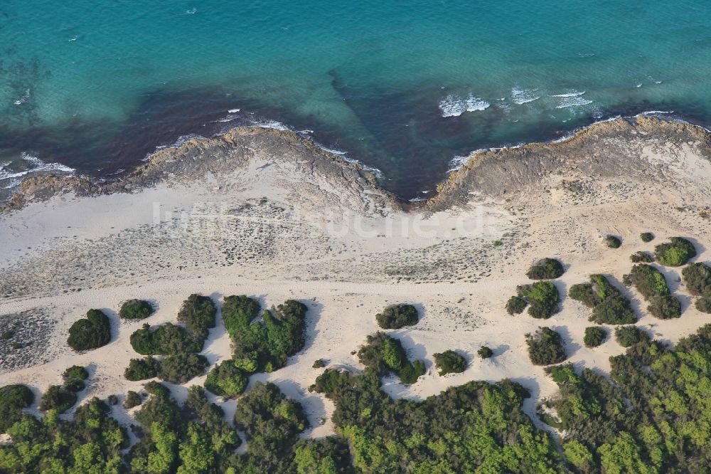 Santa Margalida aus der Vogelperspektive: Küsten- Landschaft am Sandstrand der son serra de marina in Santa Margalida in Bucht von Alcudia in Mallorca auf der balearischen Mittelmeerinsel Mallorca, Spanien