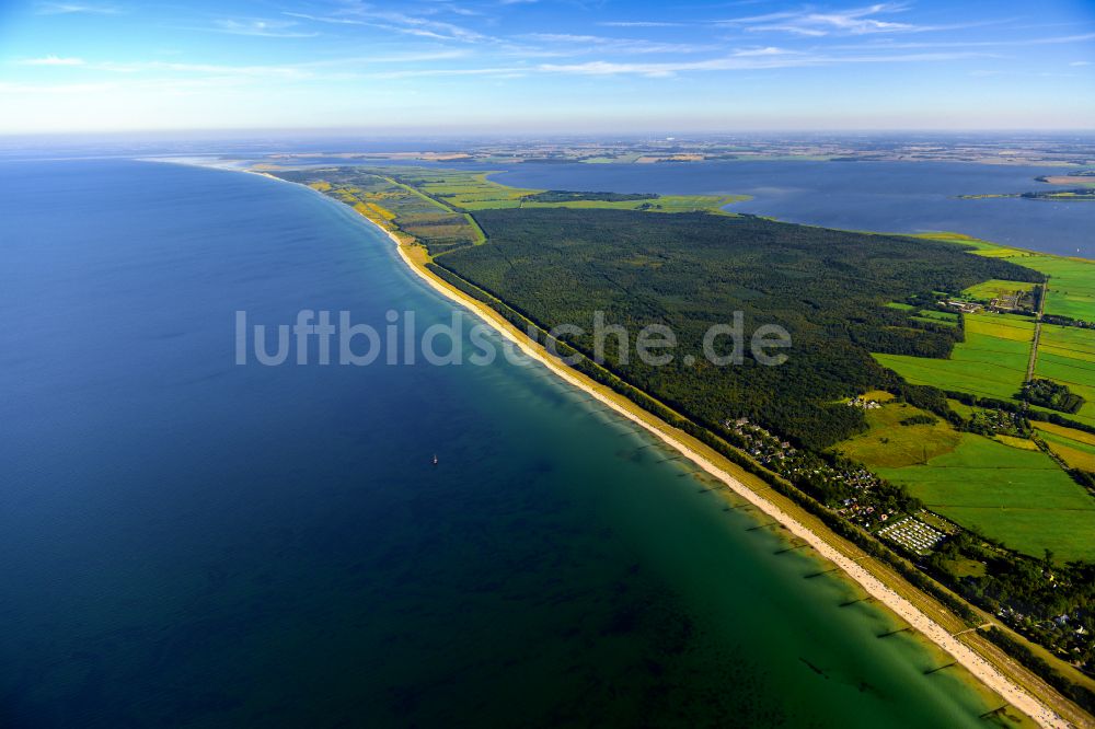 Zingst von oben - Küsten- Landschaft am Sandstrand der in Zingst im Bundesland Mecklenburg-Vorpommern, Deutschland