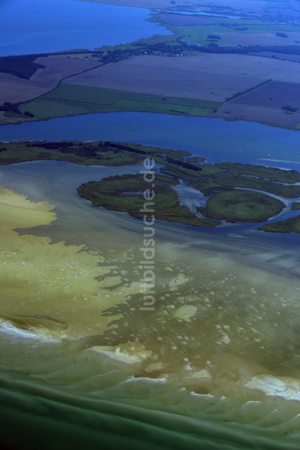 Luftaufnahme Insel Hiddensee - Küstenbereich der Bock - Insel bei der Insel Hiddensee im Bundesland Mecklenburg-Vorpommern