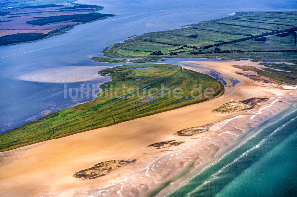 Luftaufnahme Insel Hiddensee - Küstenbereich der Bock - Insel bei der Insel Hiddensee im Bundesland Mecklenburg-Vorpommern