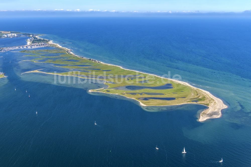 Heiligenhafen von oben - Küstenbereich der Halb- Insel Graswarder - Heilgenhafen in Großenbrode im Bundesland Schleswig-Holstein