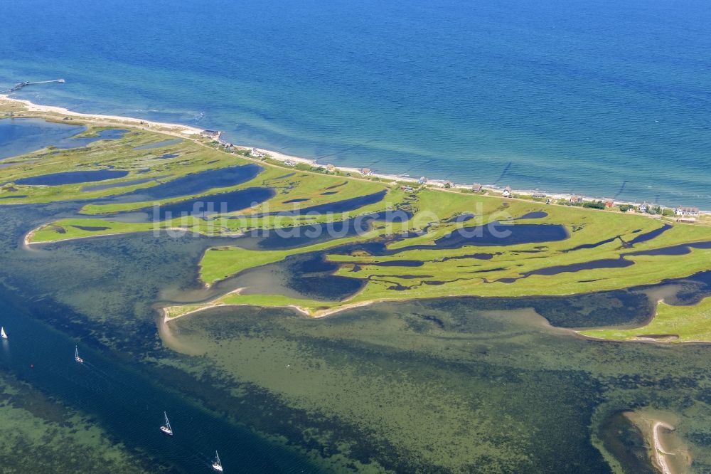 Heiligenhafen aus der Vogelperspektive: Küstenbereich der Halb- Insel Graswarder - Heilgenhafen in Großenbrode im Bundesland Schleswig-Holstein