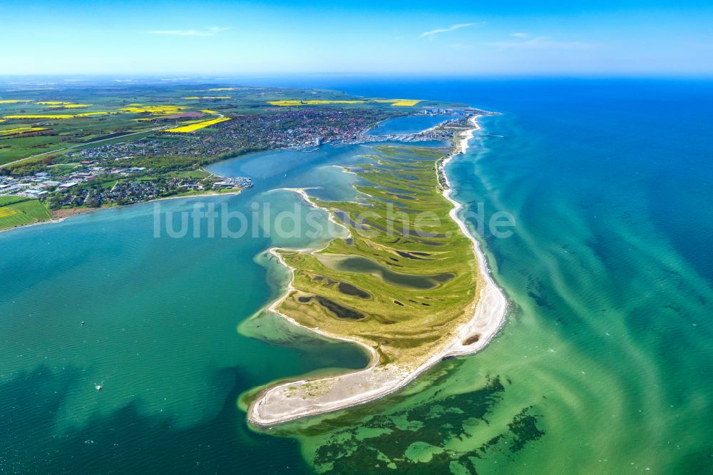 Heiligenhafen aus der Vogelperspektive: Küstenbereich der Halb- Insel Graswarder - Heilgenhafen in Großenbrode im Bundesland Schleswig-Holstein