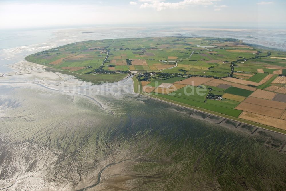 Pellworm von oben - Küstenbereich der Insel Pellworm im Bundesland Schleswig-Holstein