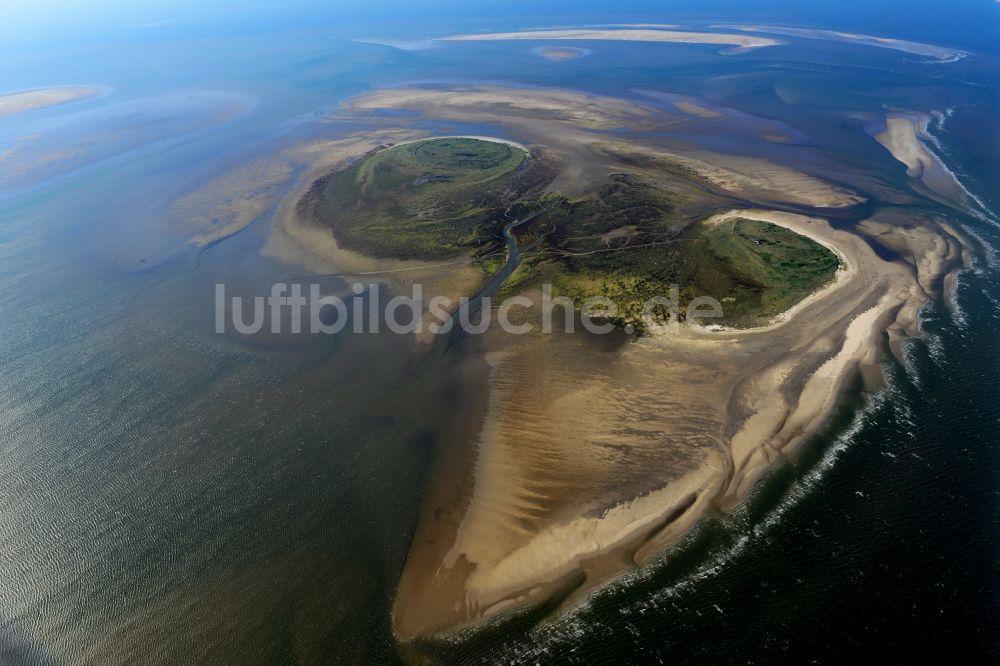 Nigehörn aus der Vogelperspektive: Küstenbereich des Naturschutz- Reservates und Vogelschutzgebietes - Insel in Nigehörn im Bundesland Hamburg